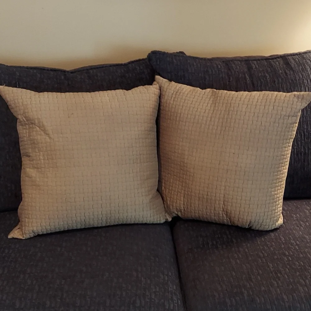RODEO HOME Vintage 18 x 18 Throw Pillow Set Beige Gold Satin- VINTAGE GORGEOUS!